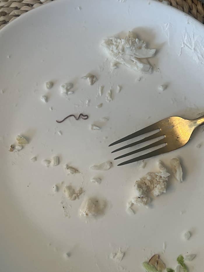 A sheet with nutrient remnants and a tiny worm-like carnal adjacent to a fork