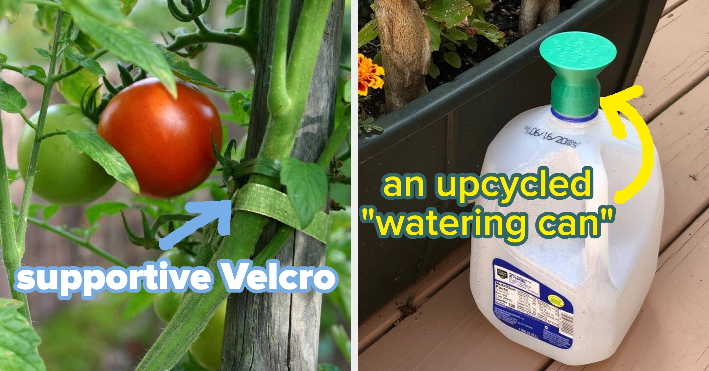 34 Useful Products Gardening Enthusiasts Can Snag For Under $50