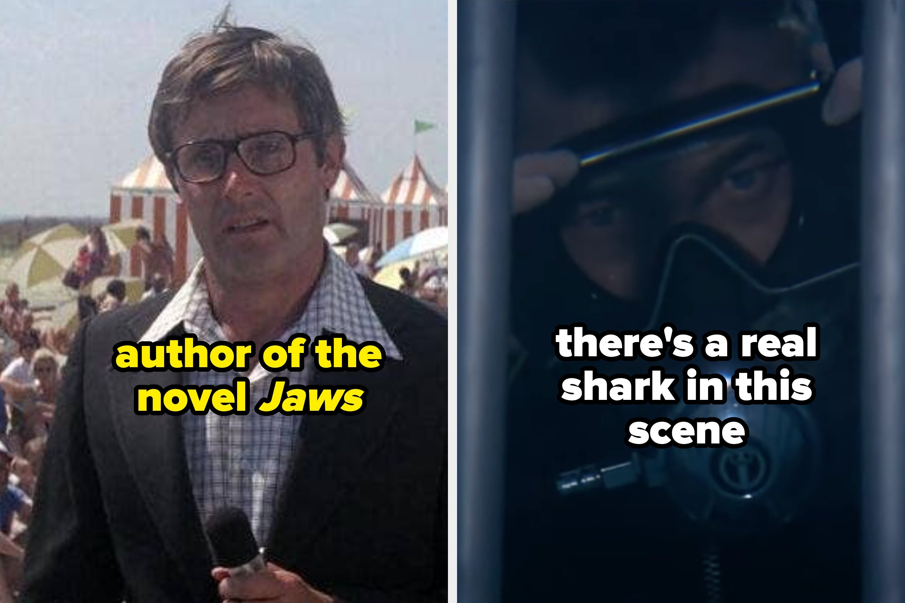 I Can't Watch "Jaws" The Same Way After Reading These 13 Behind-The-Scenes Facts