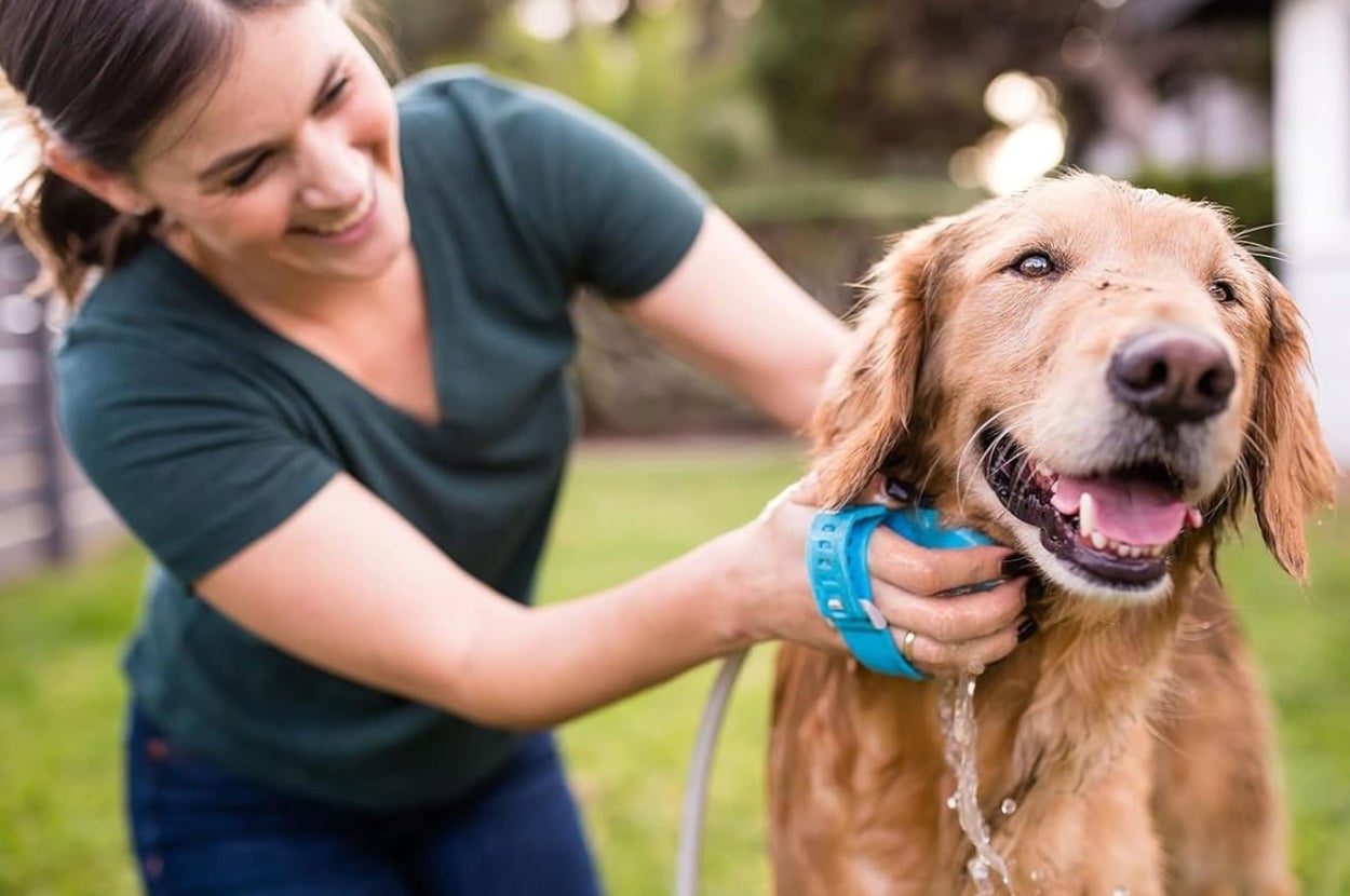 A woman smiles while bathing a happy dog outdoors, using a hose with a blue nozzle