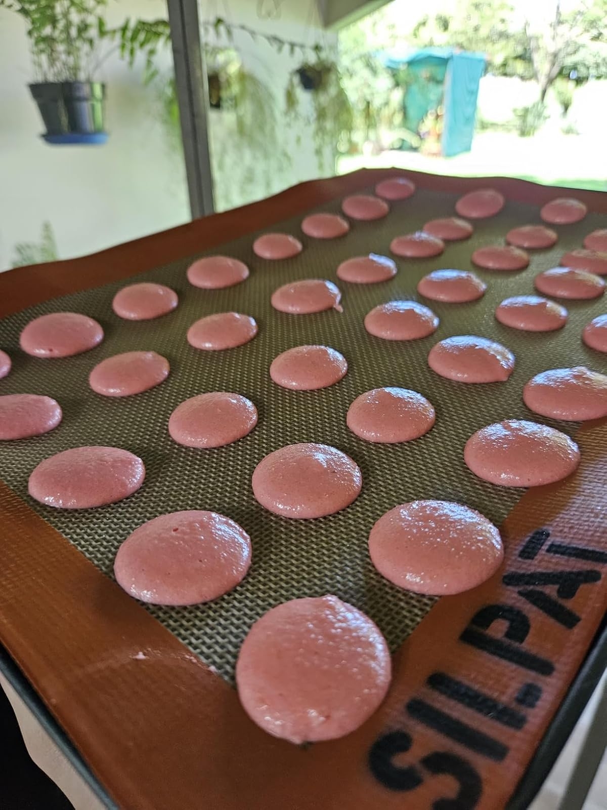 Reviewer's photo of pink macaron shells on a baking tray lined with a Silpat baking mat, ready to be baked, set in a kitchen with plants visible outside a window