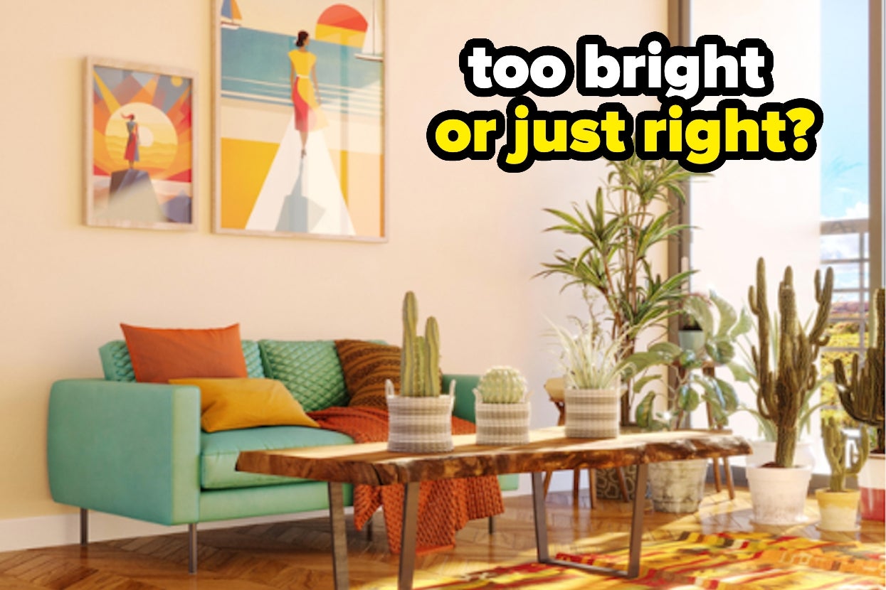 Stylish living room with a turquoise couch, cactus décor, and vibrant artwork. Overlay text reads, "too bright or just right?"