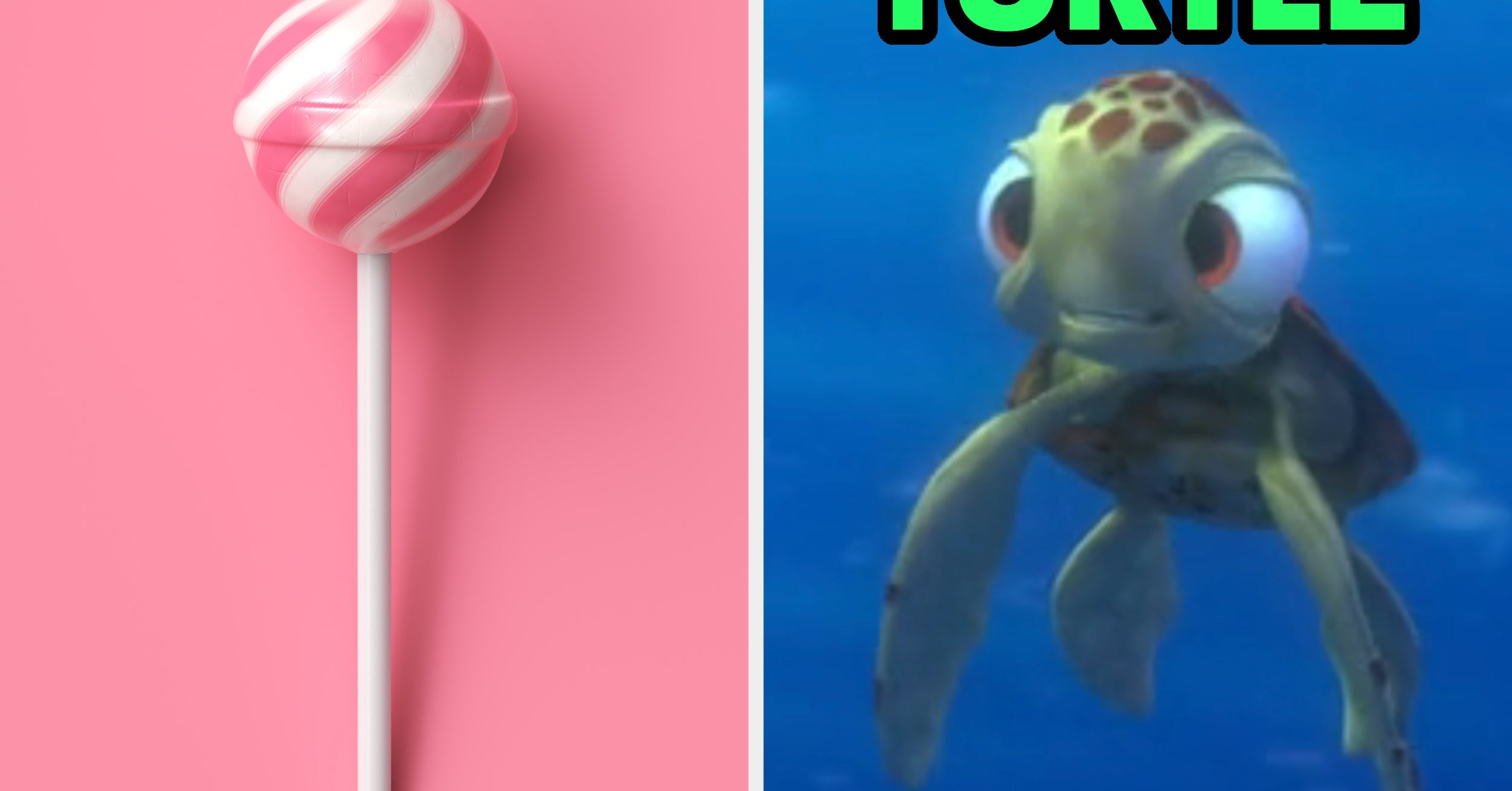 Go Candy Shopping To Find Your Inner Marine Creature