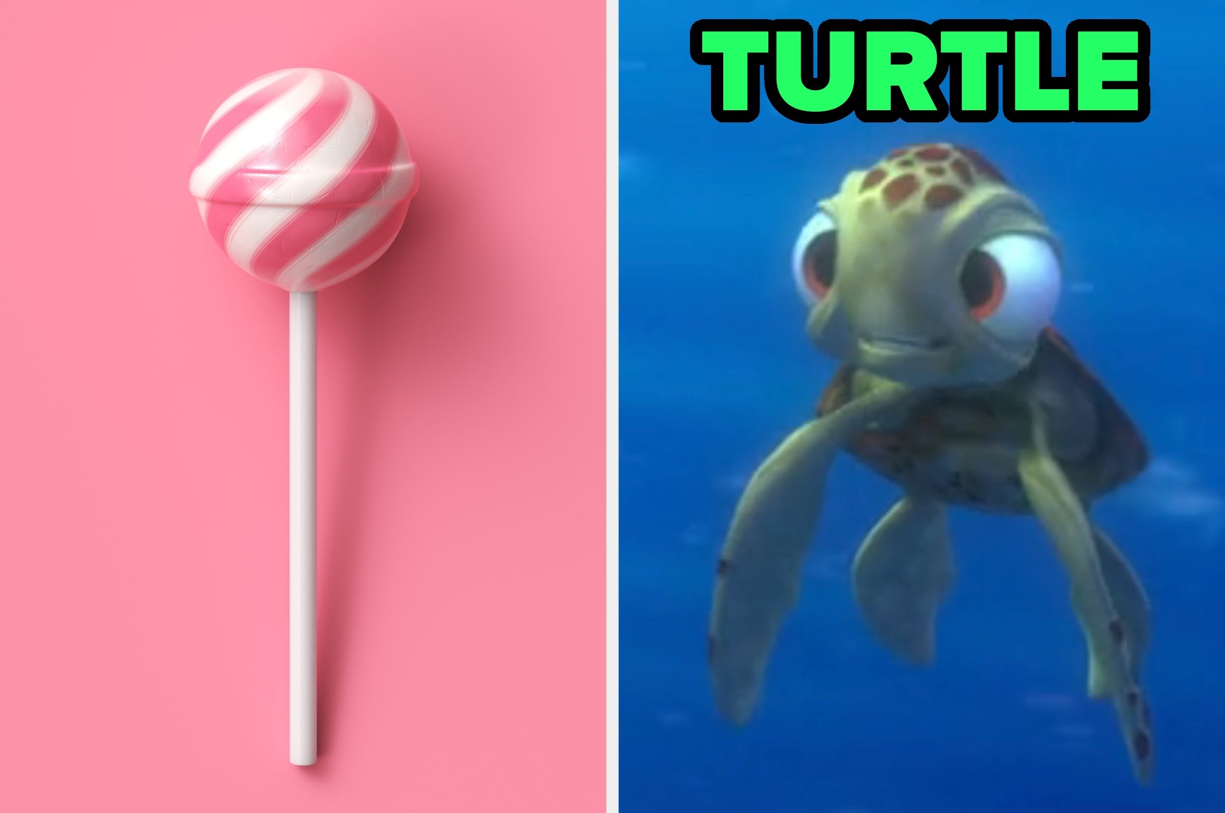 BuzzFeed Buzz