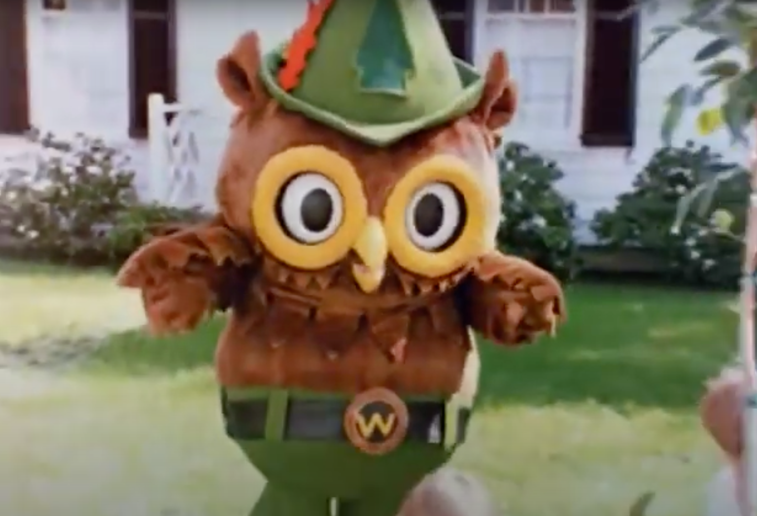An owl mascot with ample eyes and a chapeau stands successful a yard, wearing a costume with leafage details and a belt