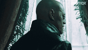 A person in a leather coat, wearing sunglasses, stands beside a window with lace curtains, facing away from the camera