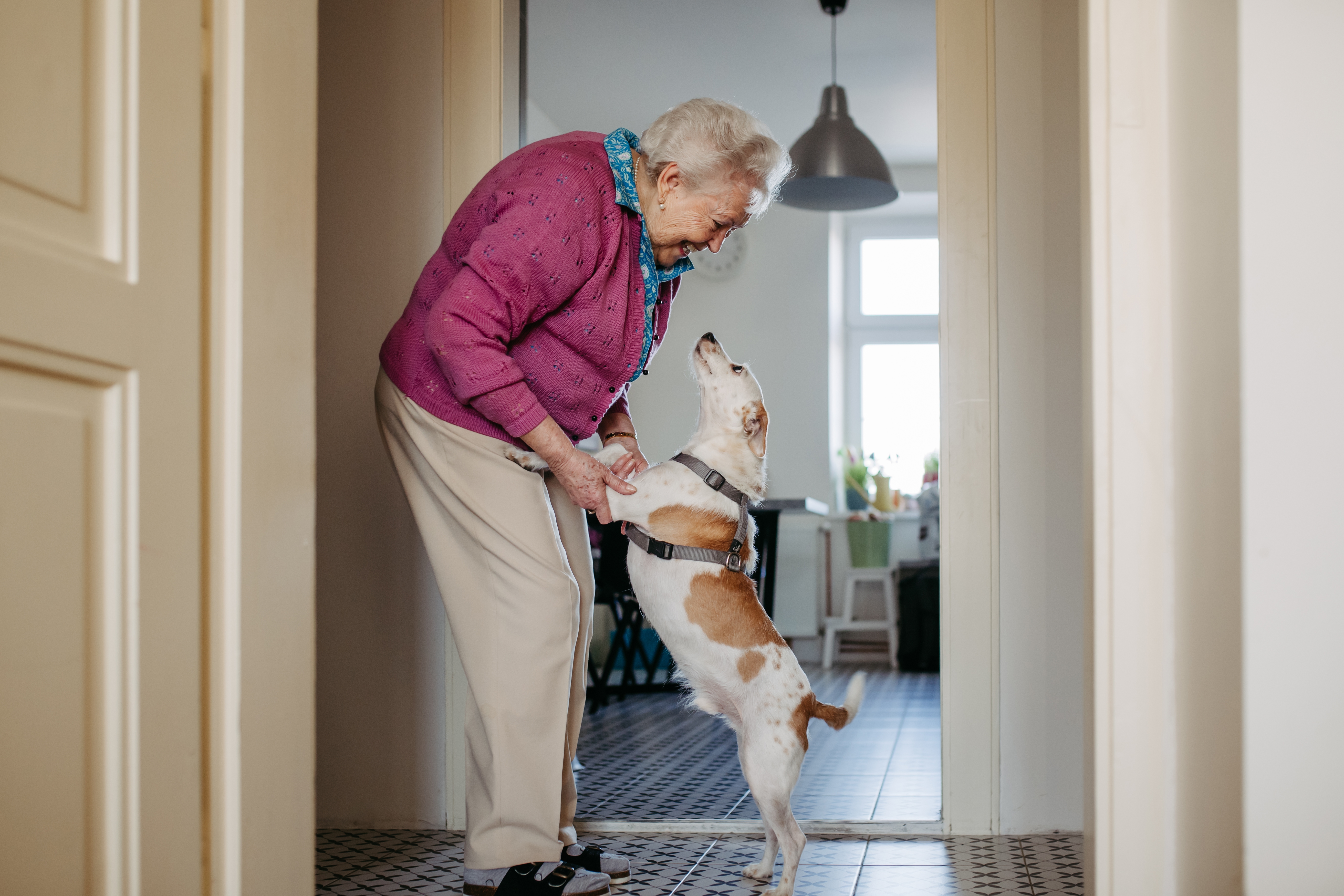 Eldre person som smiler og holder poter med en liten hund inne i en hjemmekanel