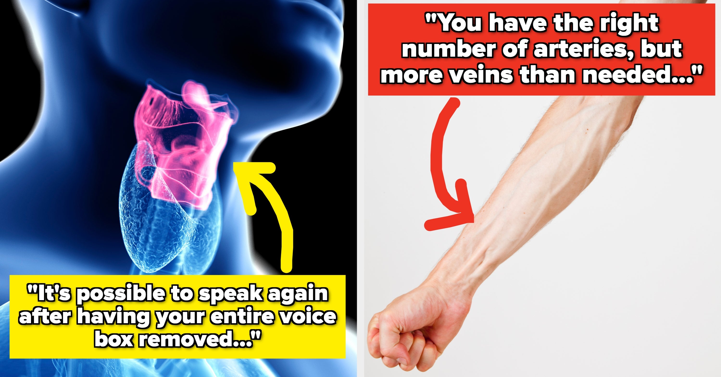 Surgeons Share Weird Body Facts