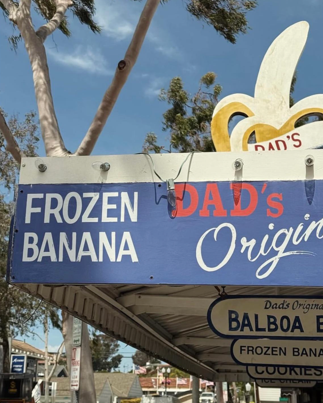 34 Confusing Perplexing Signs