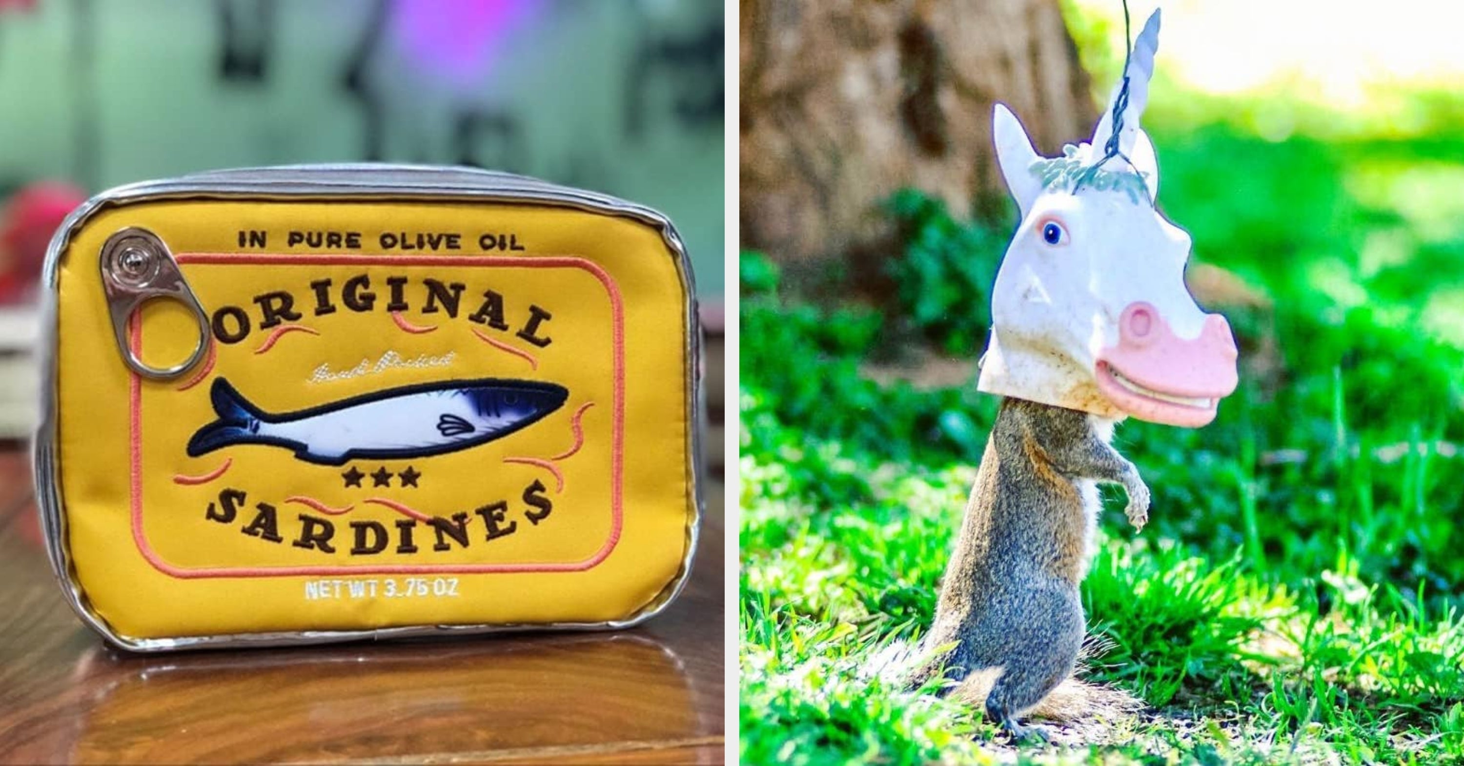 I Guarantee These 31 Oddball Finds *Will* Put A Smile On Your Face
