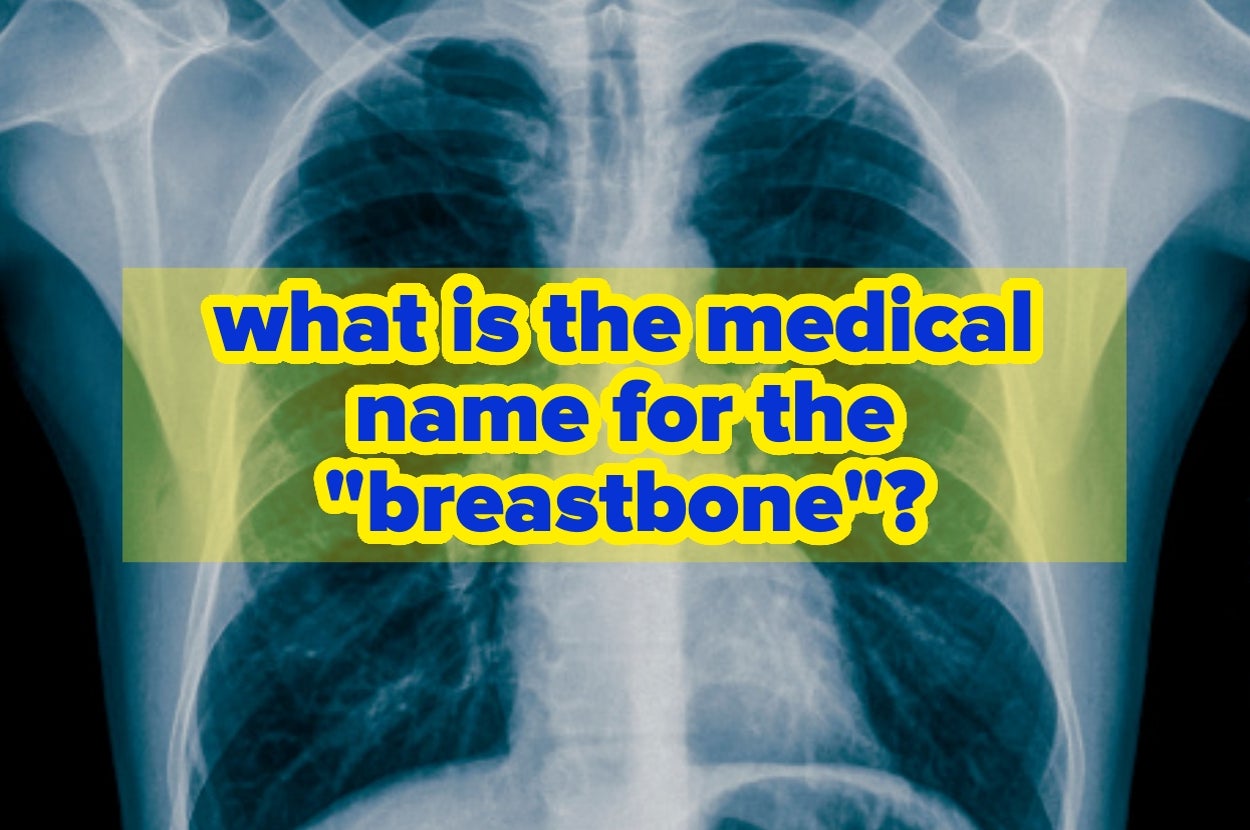Text on an X-ray background asks "What is the medical name for the 'breastbone'?"