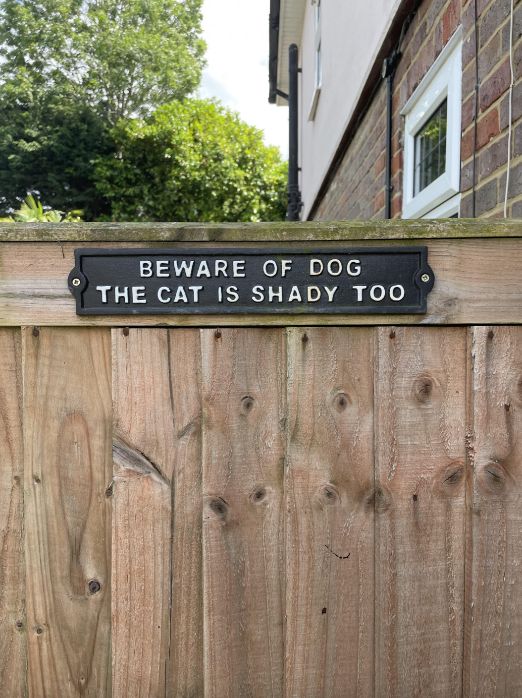 Sign on a wooden fence reads, "BEWARE OF DOG. THE CAT IS SHADY TOO," in a humorous warning