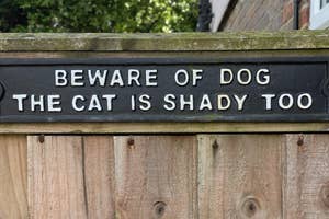 Sign on a wooden fence reads, "BEWARE OF DOG. THE CAT IS SHADY TOO," in a humorous warning