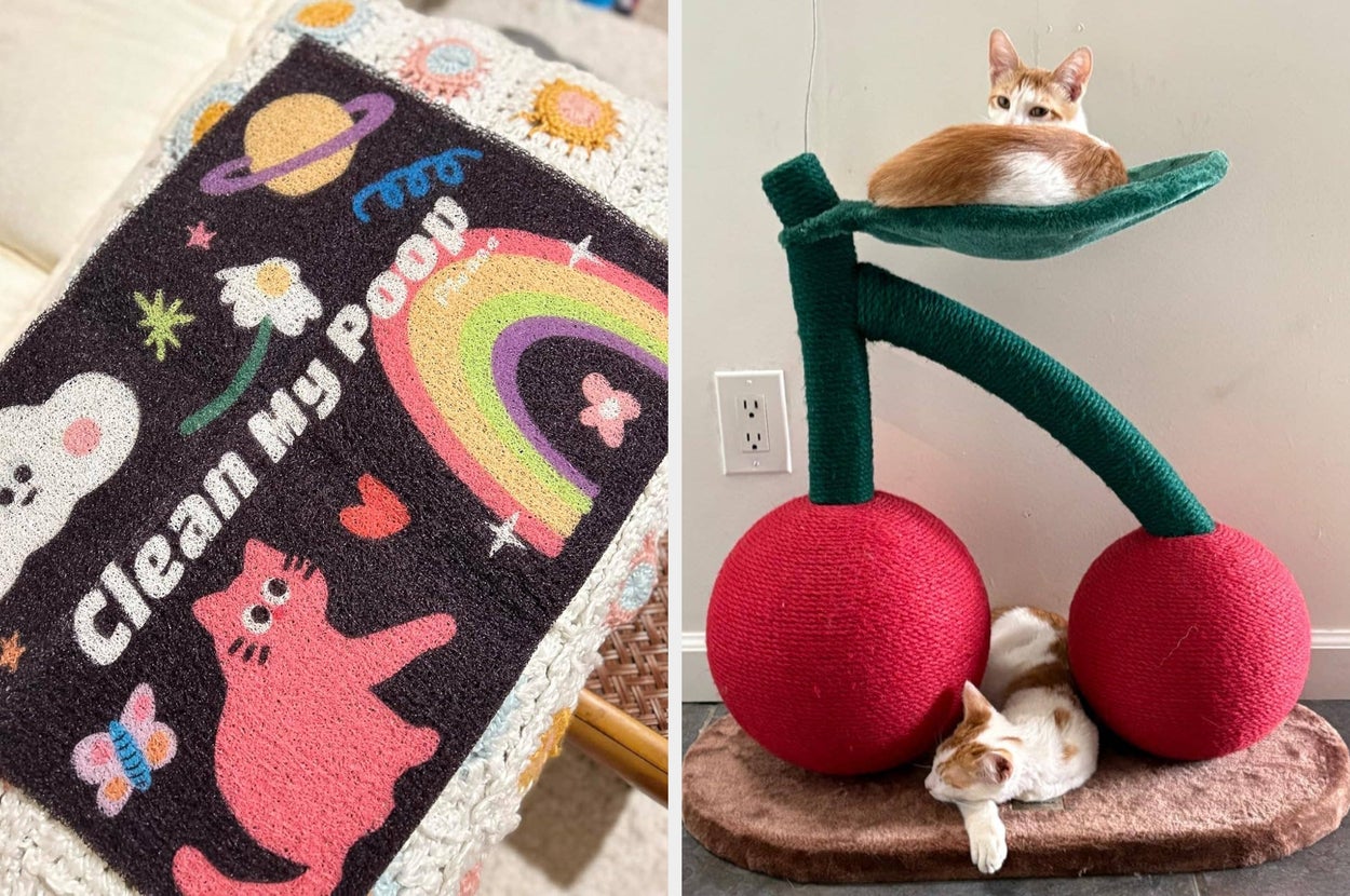 Left: A bowl of dry pet food sits on a checkered mat; Right: cat behind a litter box disguised as a plant