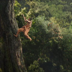 Person in an adventurous action scene, climbing a tree in a dense forest