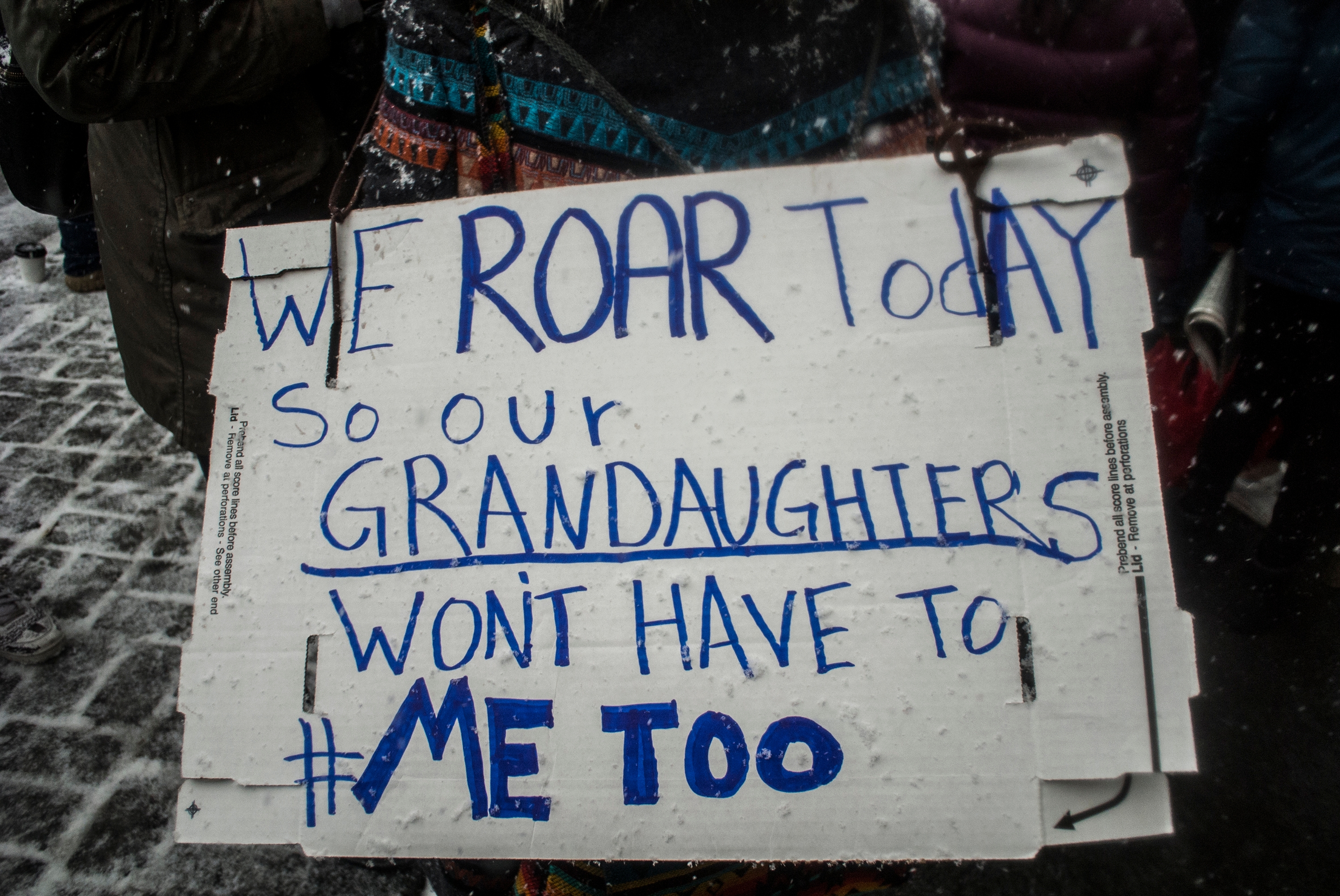 Sign at a protest reads: "We roar today so our granddaughters won't have to #MeToo."