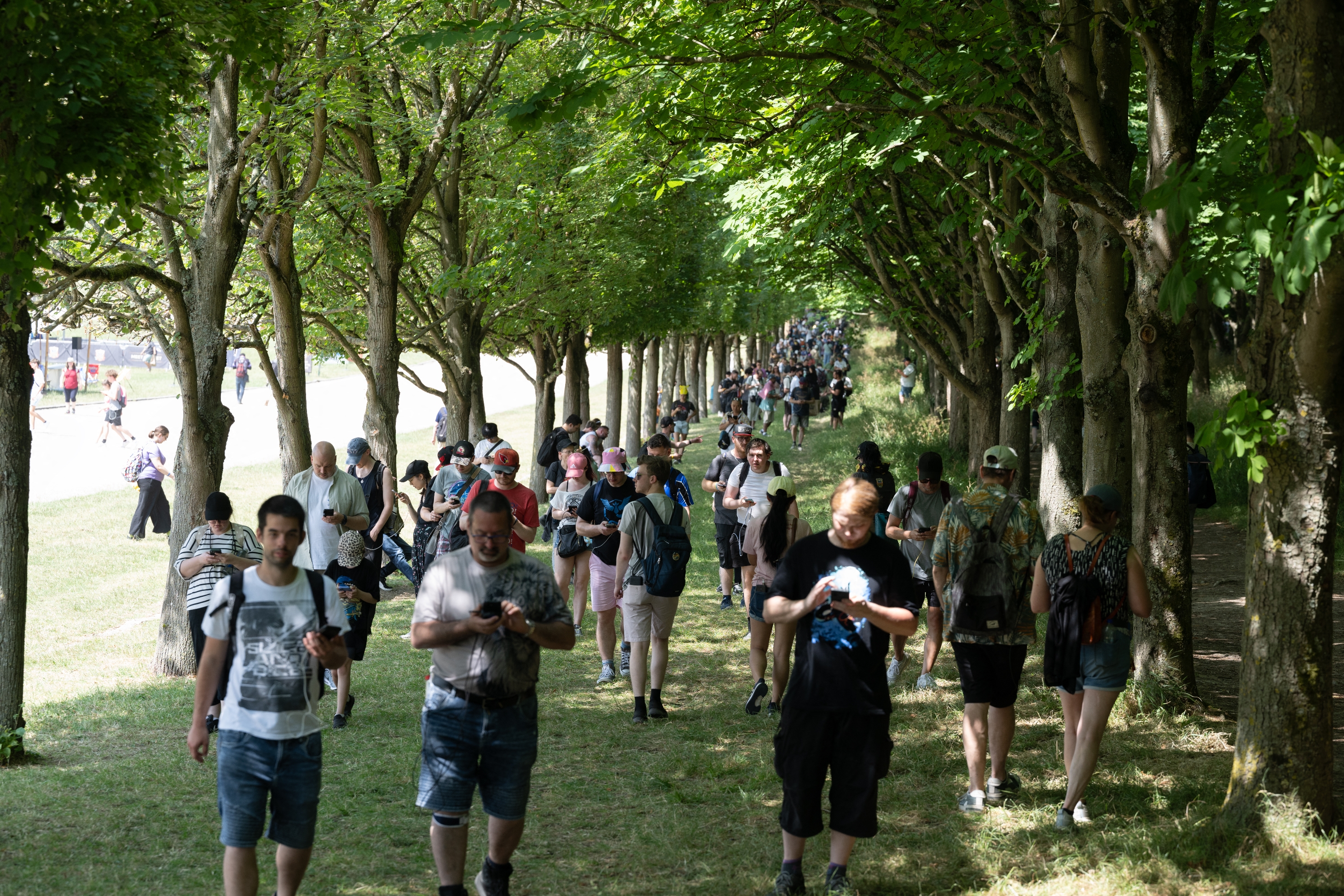 A large crowd walks under a canopy of trees, many focused on their phones