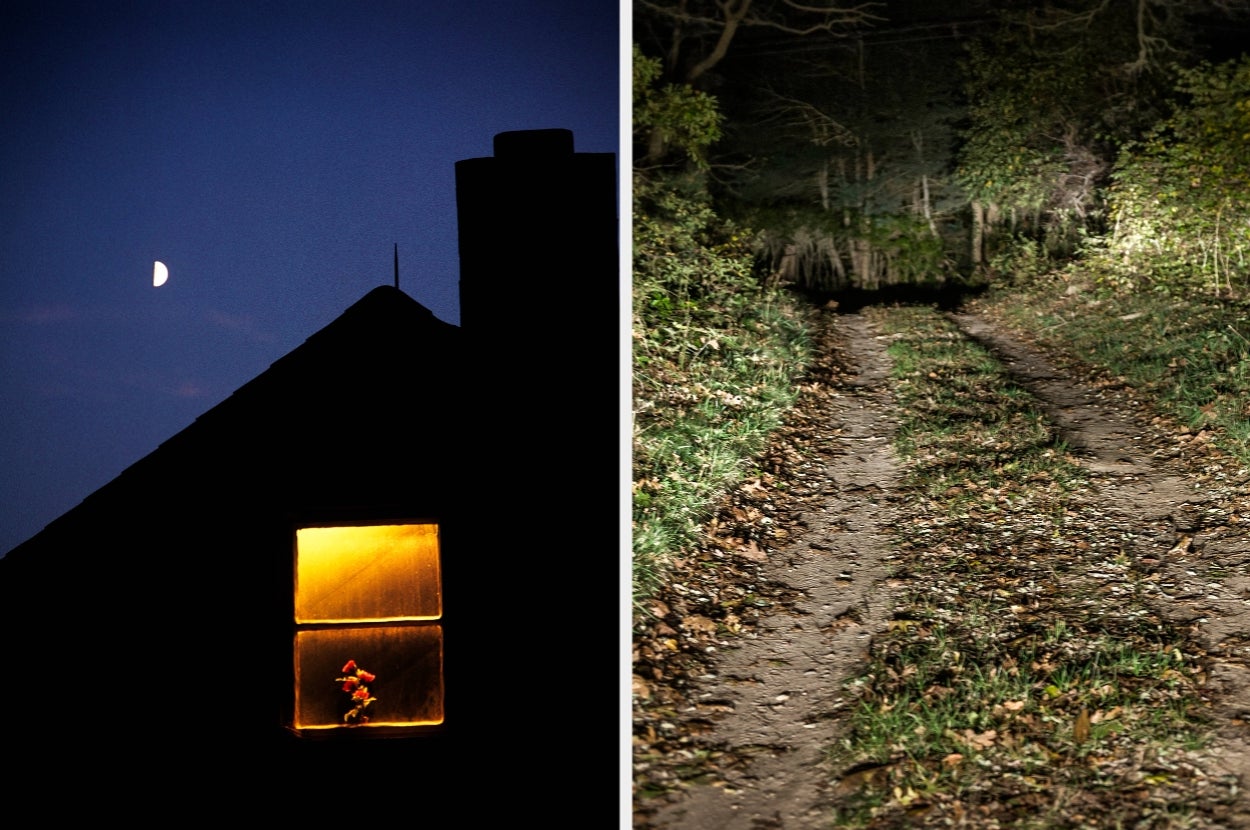 A dimly lit house window with a flower inside, next to a nighttime forest path illuminated by vehicle lights