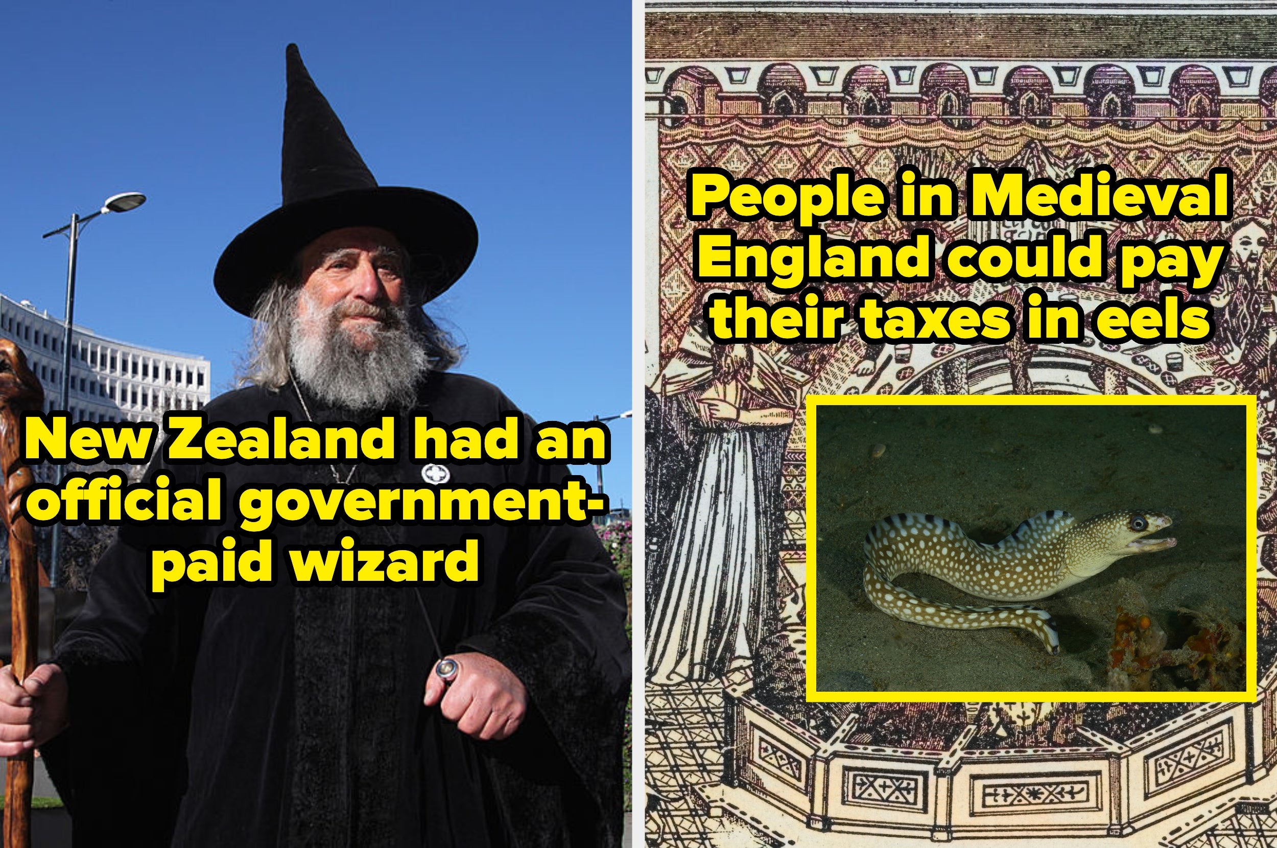 Left: Wizard with hat and staff. Right: Text states medieval English could pay taxes with eels, shows eel image