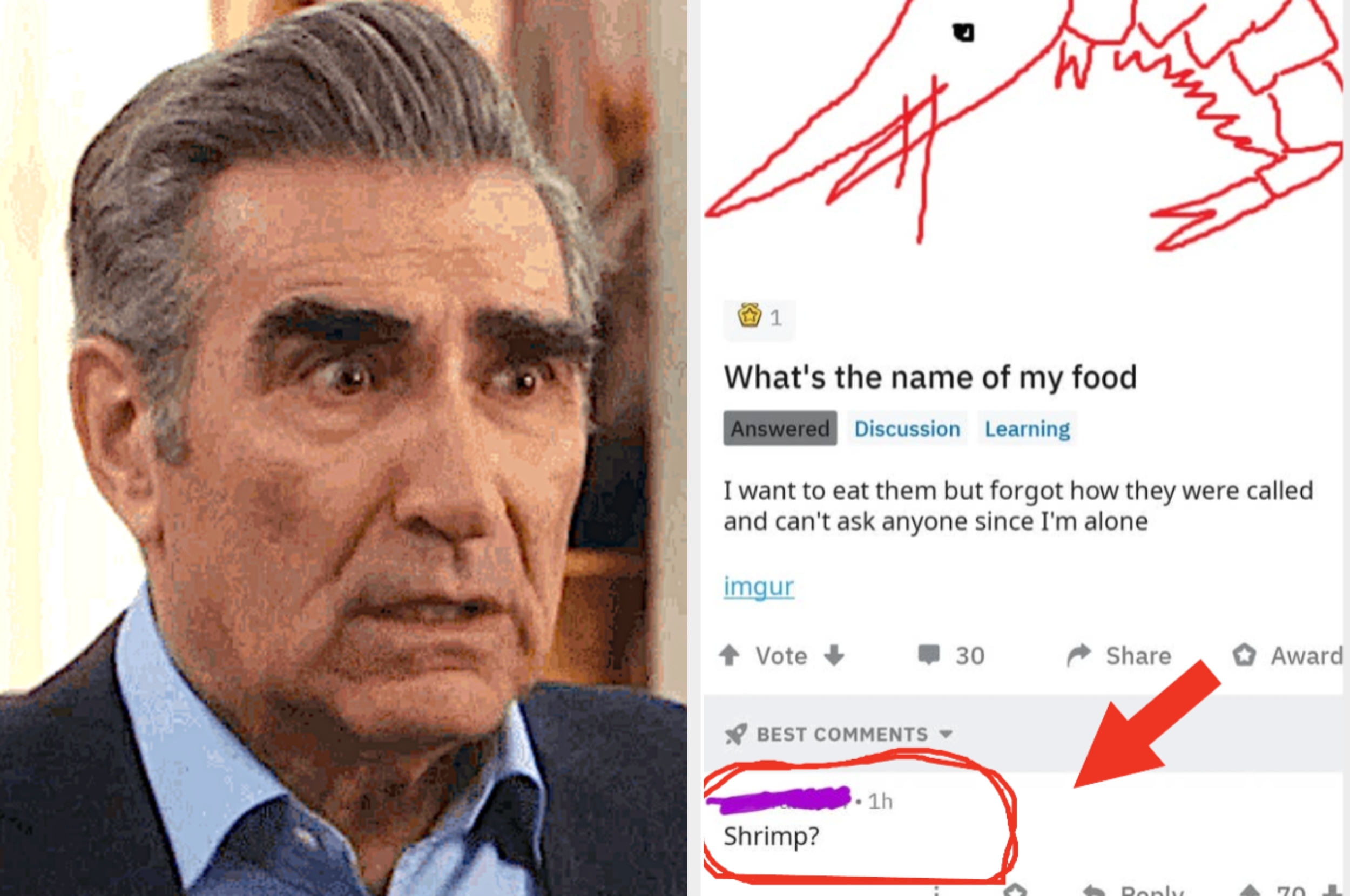 A person looks confused next to a funny online forum post asking for help identifying shrimp, with a humorous drawing of a shrimp