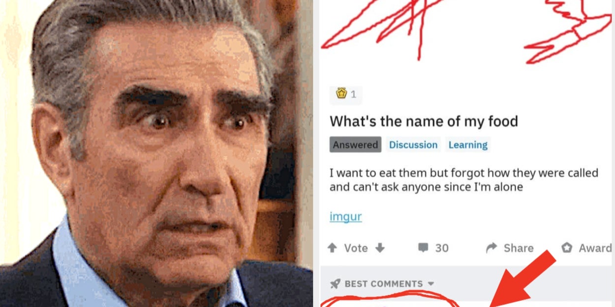 75 Extremely Dumb Pictures That Pretty Much Never Fail To Make Me Laugh Uncontrollably No Matter How Many Times I've Seen Them