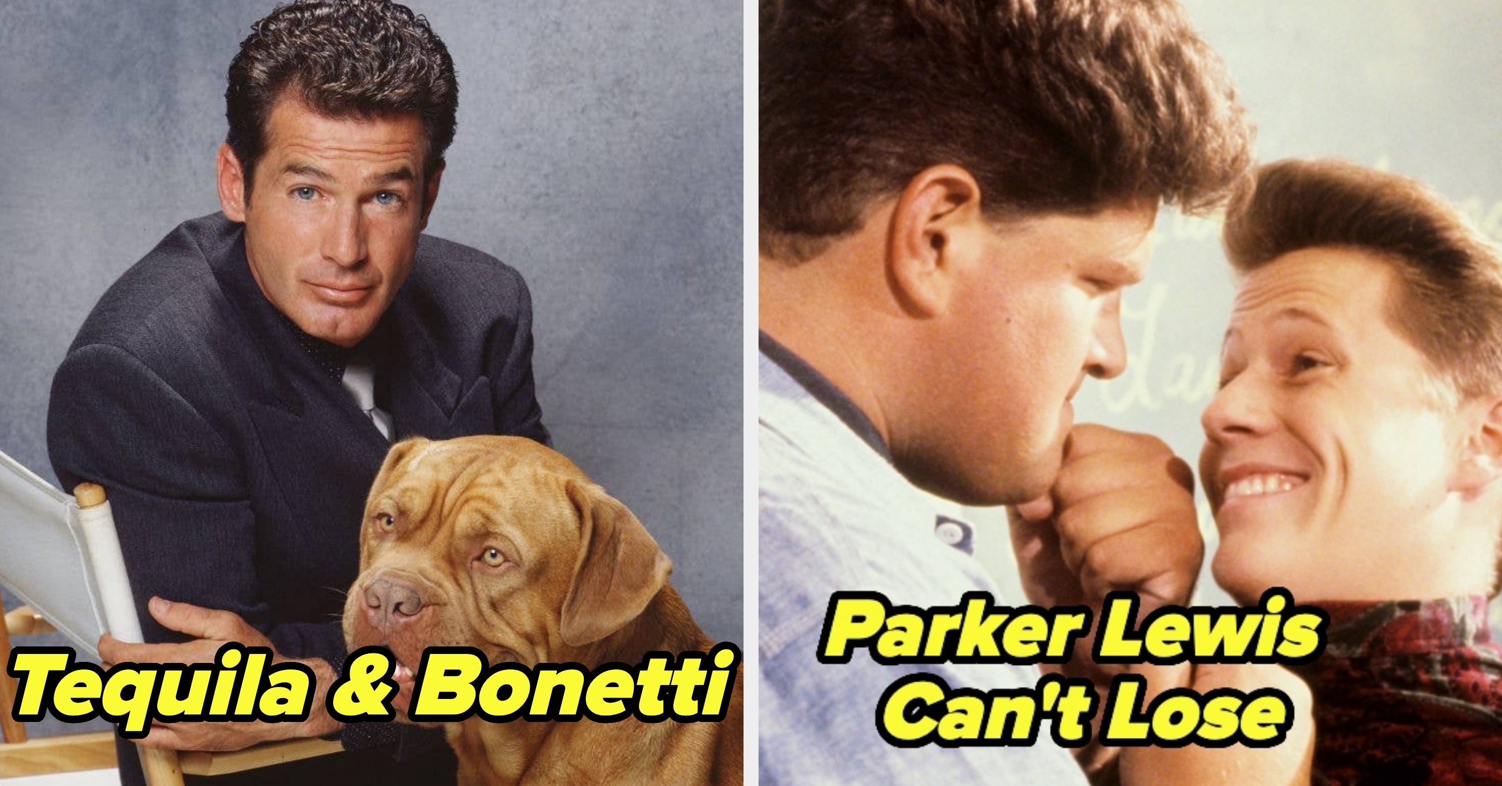 What's An Obscure '90s TV Show You're Convinced No One Else Remembers?