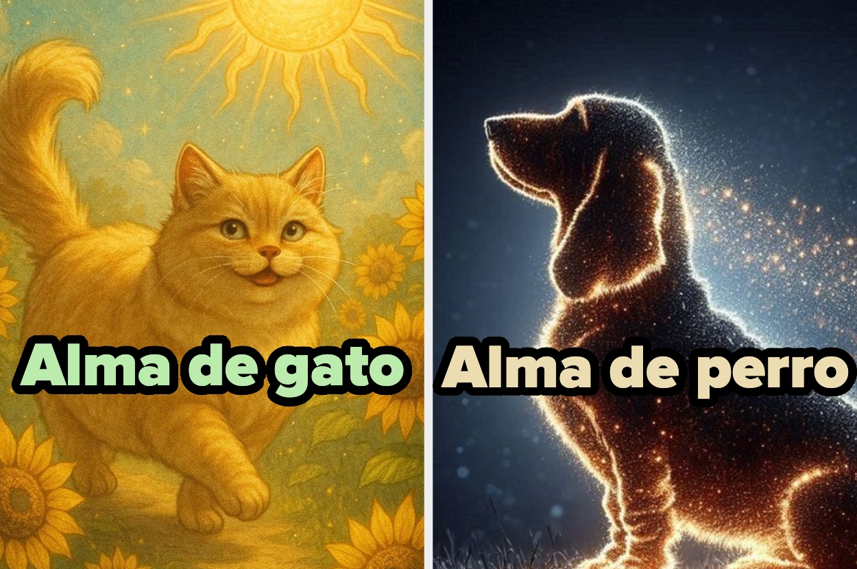 A la izquierda, un gato sonriente con girasoles. A la derecha, un perro brillante sobre fondo oscuro. Texto: "Alma de gato" y "Alma de perro"