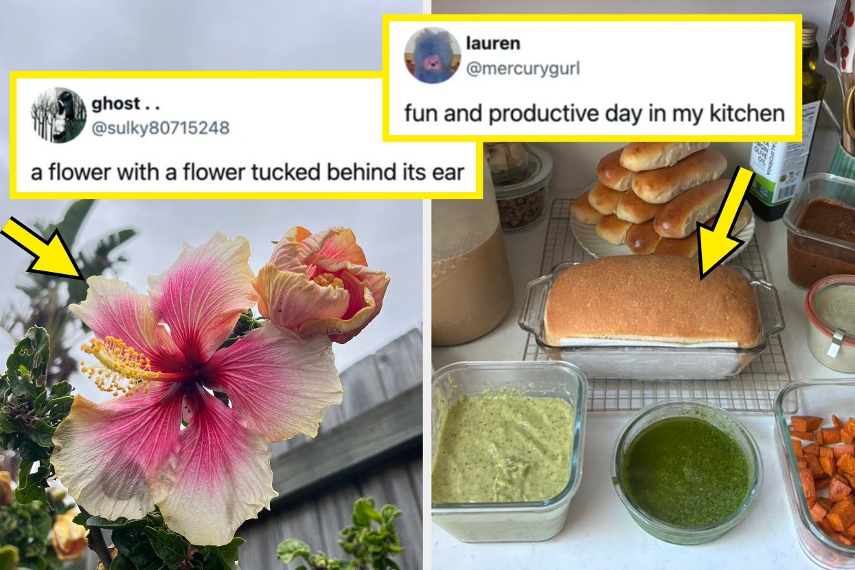 21 Wholesome Posts From The Internet This Week That I Promise Will Bring A Grin To Your Face