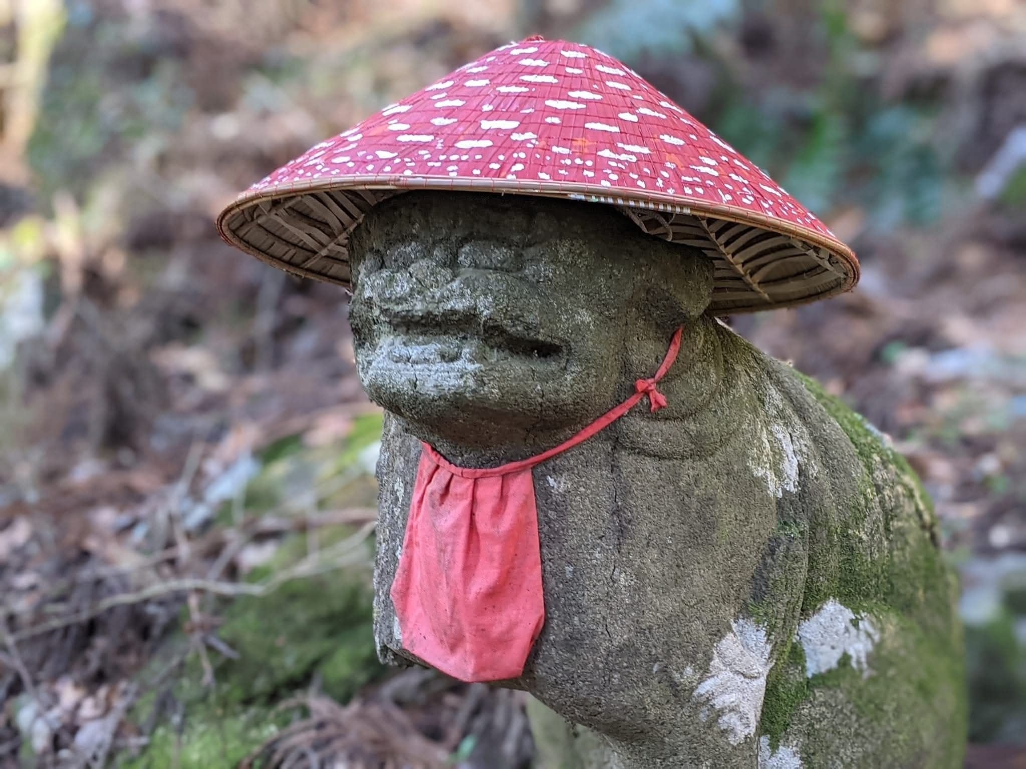 マリオ目線のキノコ王国」「ファンタジアみたい」友人からもらった