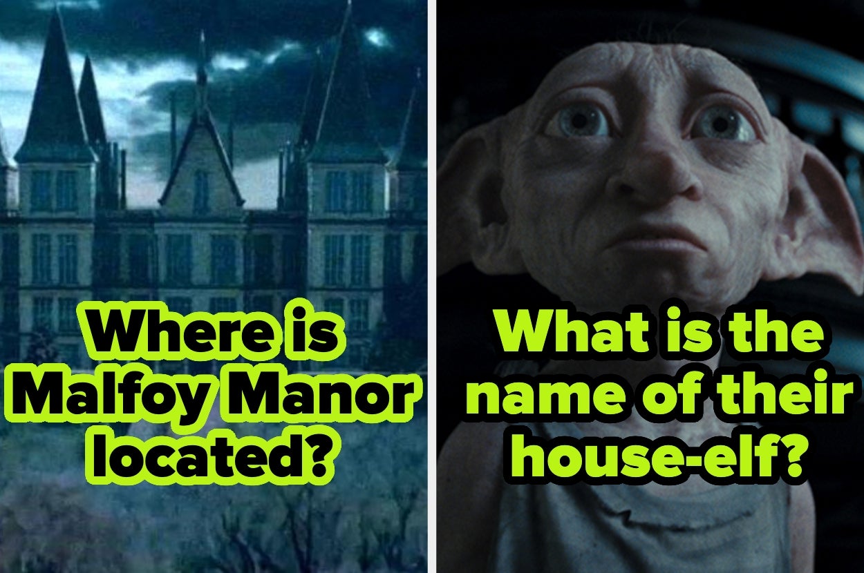 Split image: Left shows Malfoy Manor; right features a house-elf. Text asks about the manor's location and the house-elf's name
