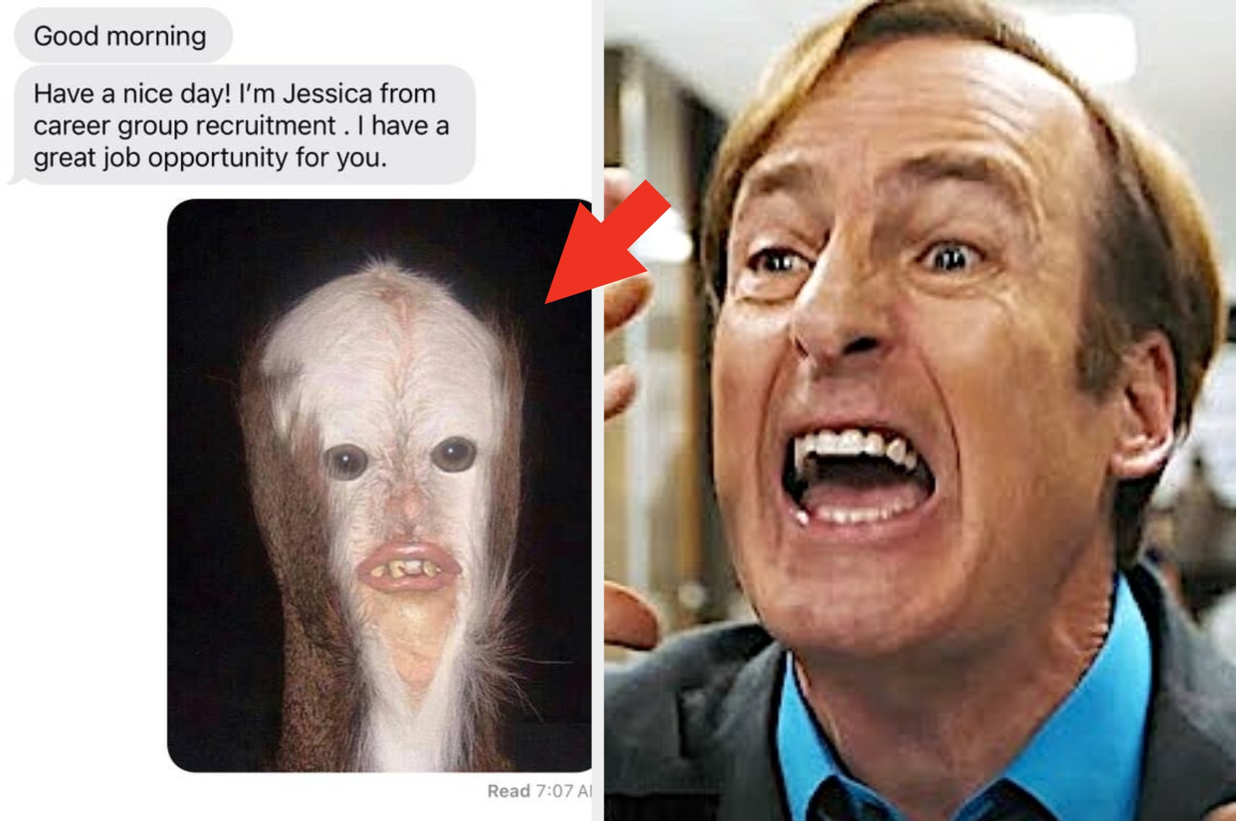 Split image: Left shows a bizarre creature in a text conversation about a job offer. Right shows a man yelling animatedly