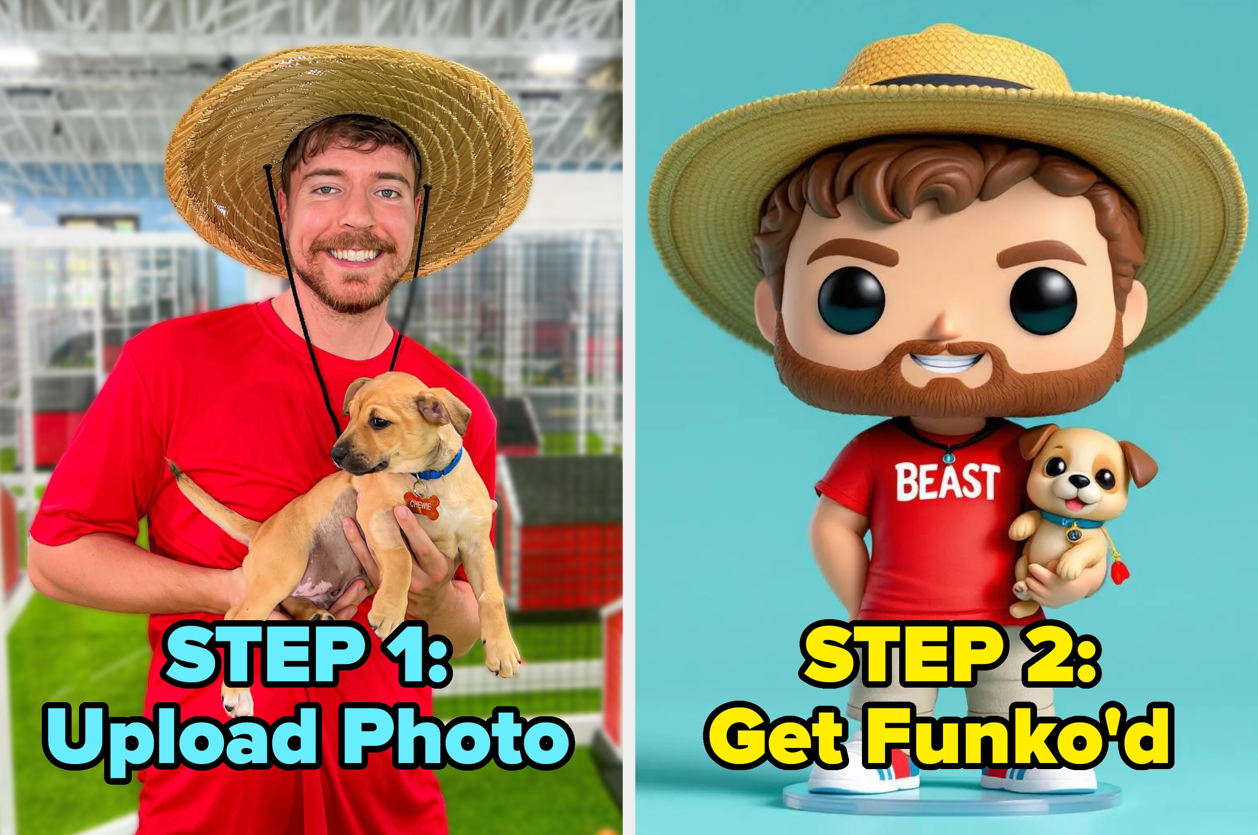 Mr. Beast holding a puppy and a Funko Pop figure of themselves with a similar pose. Text: "STEP 1: Upload Photo. STEP 2: Get Funko'd."
