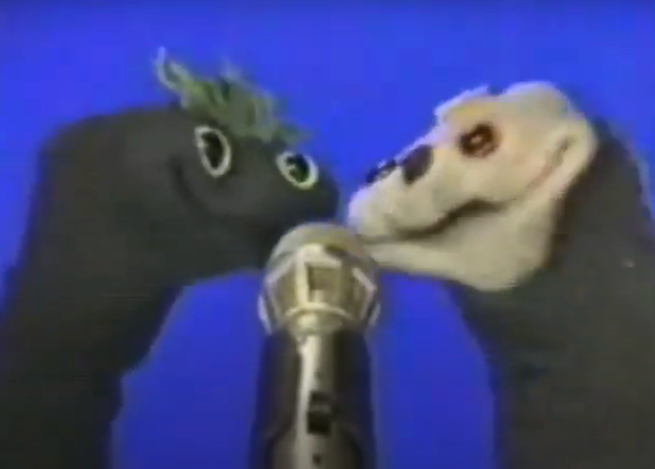 Two sock puppets with googly eyes speak into a microphone against a plain background