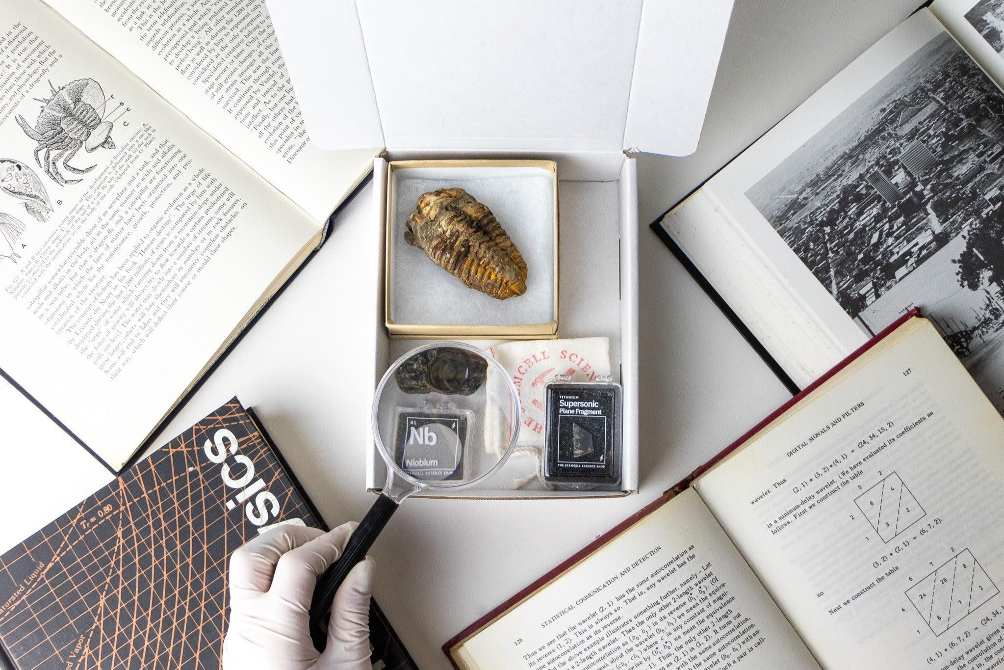 Fossils and minerals displayed in a box surrounded by open scientific books. A gloved hand holds a magnifying glass over the elements