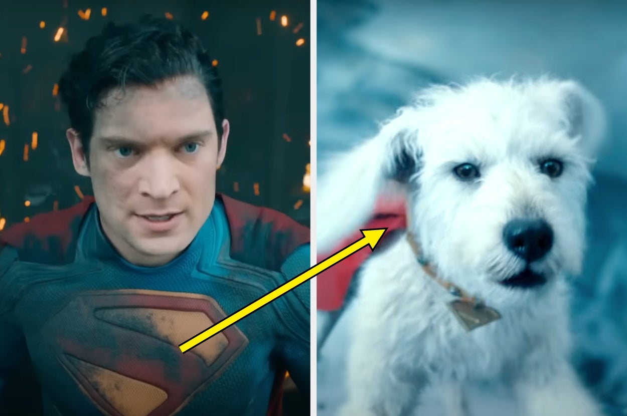 A superhero in a costume looks determined beside a small dog wearing a cape