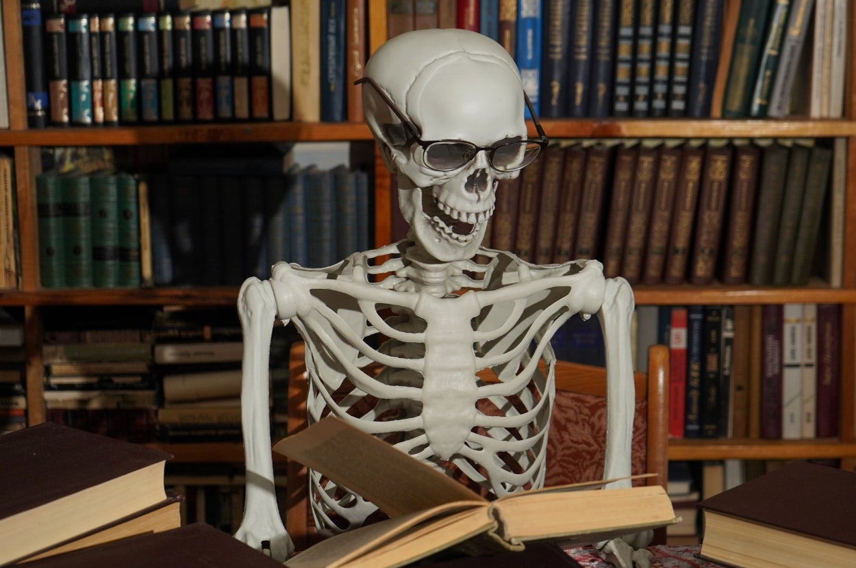 Skeleton wearing glasses sits at a table surrounded by open books in a library, appearing to read. Shelves of books fill the background