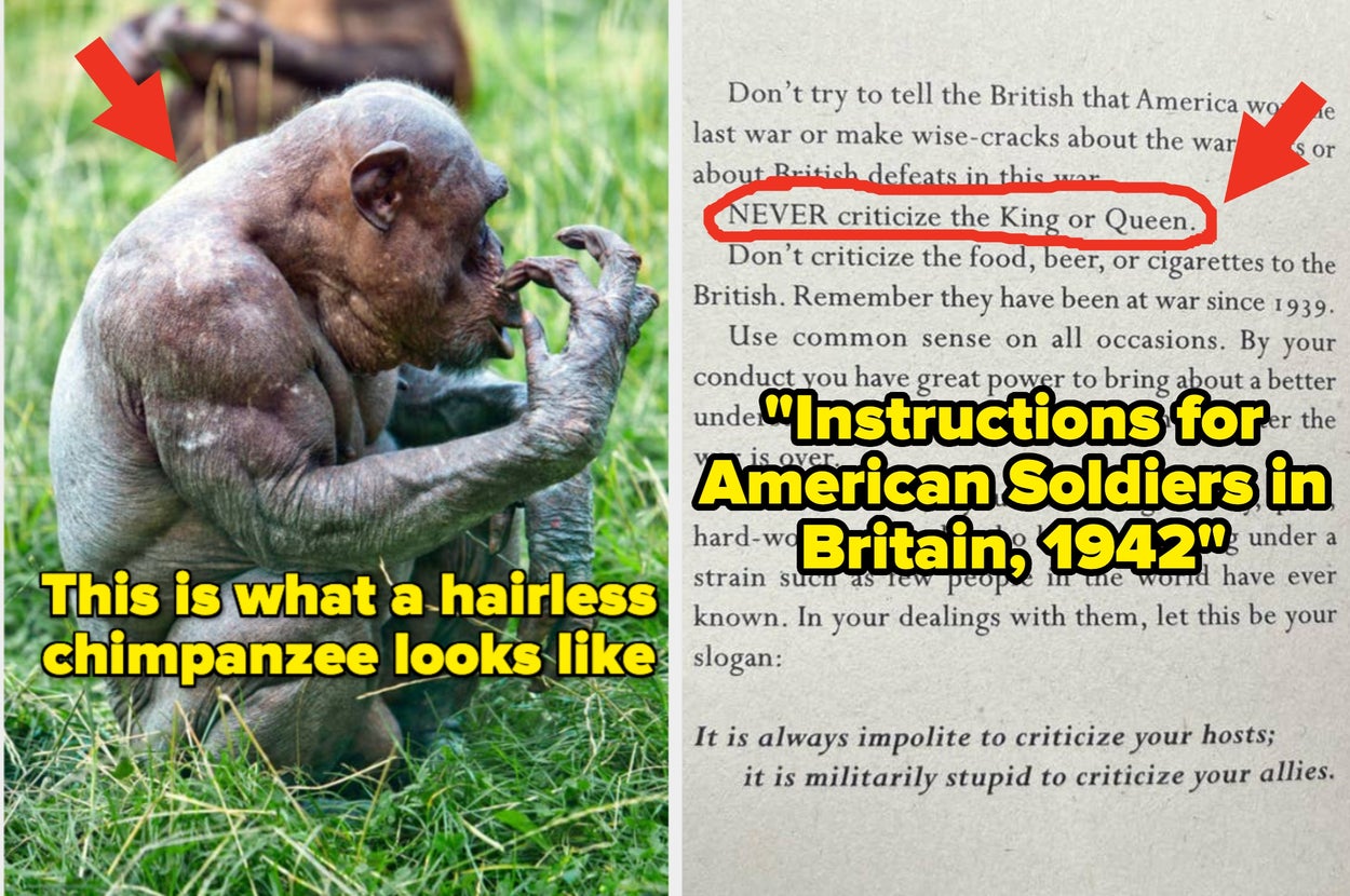Okay, These 25 Absolutely Fascinating And Mind-Blowing Pictures Just Completely Dismantled My Grasp On How The Entire World Works
