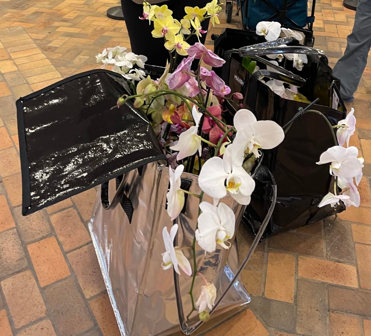 Shopping bags filled with white and pink orchids on a tiled floor