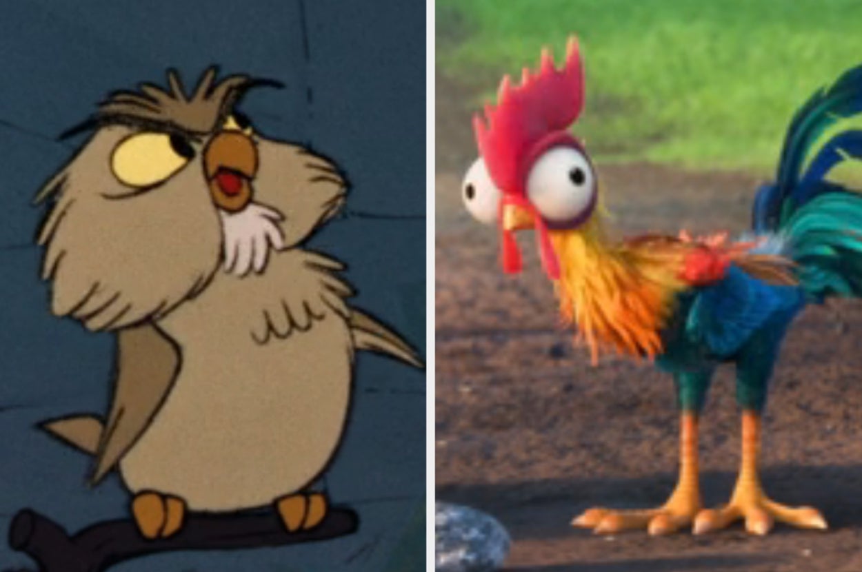 Animated owl and colorful rooster side by side, showcasing contrasting expressions and styles