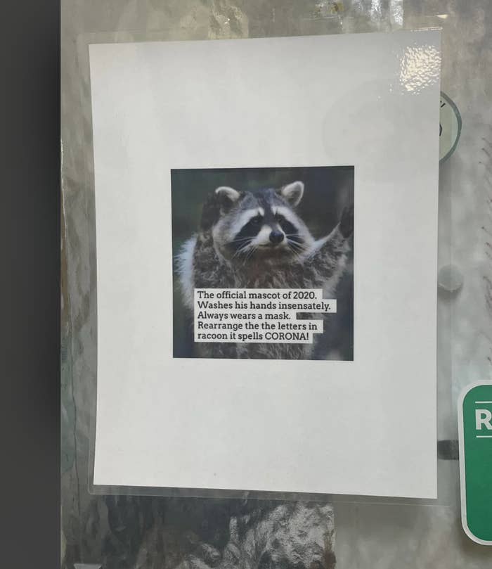 Image of a posted meme with a raccoon wearing a mask. Text reads: &quot;The official mascot of 2020. Washes hands incessantly. Rearrange &#x27;raccoon&#x27; to spell &#x27;CORONA&#x27;!&quot;