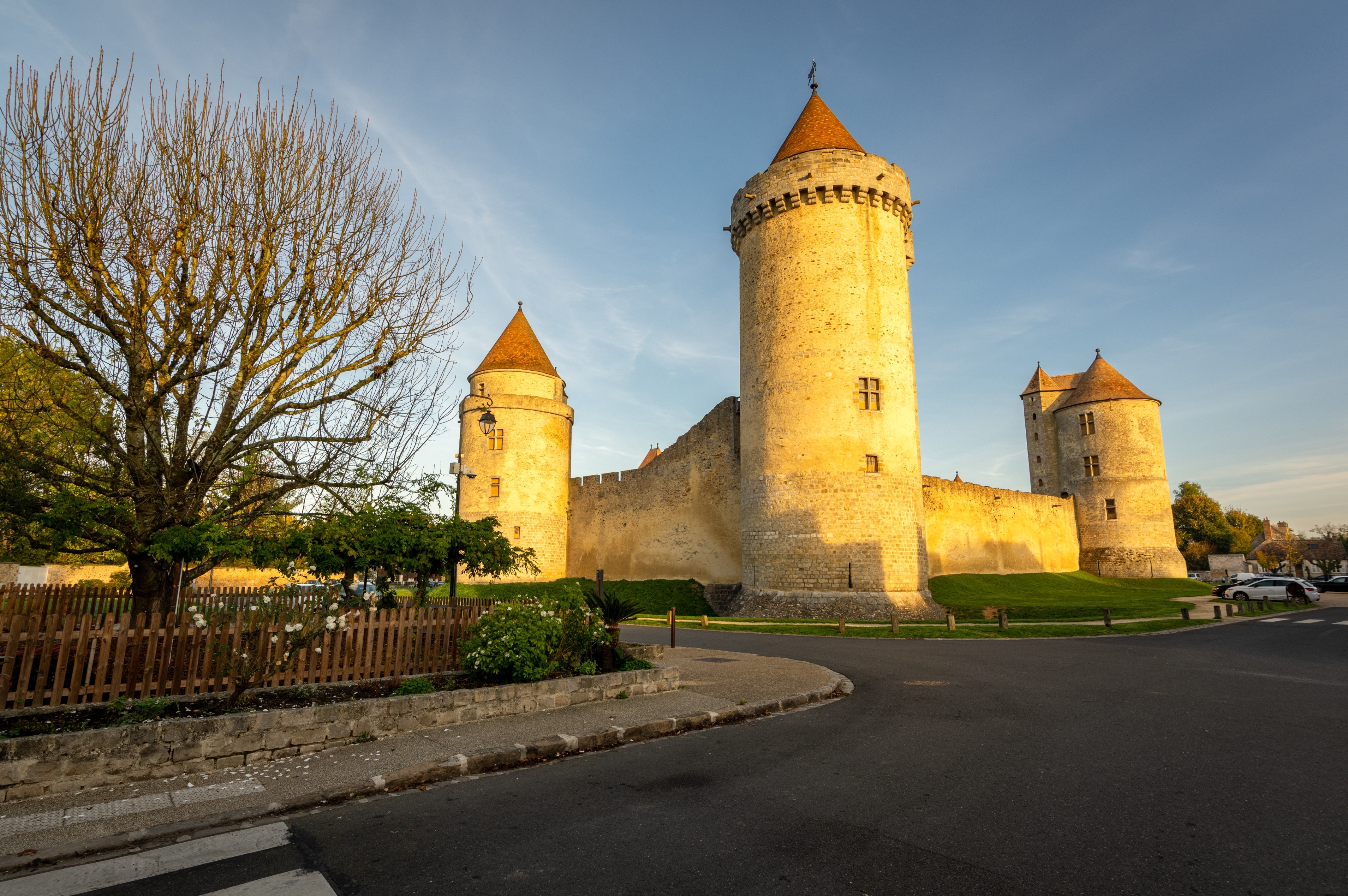 Medieval castle with round towers and a large stone wall, set by a bare tree and a fenced garden, under a clear sky