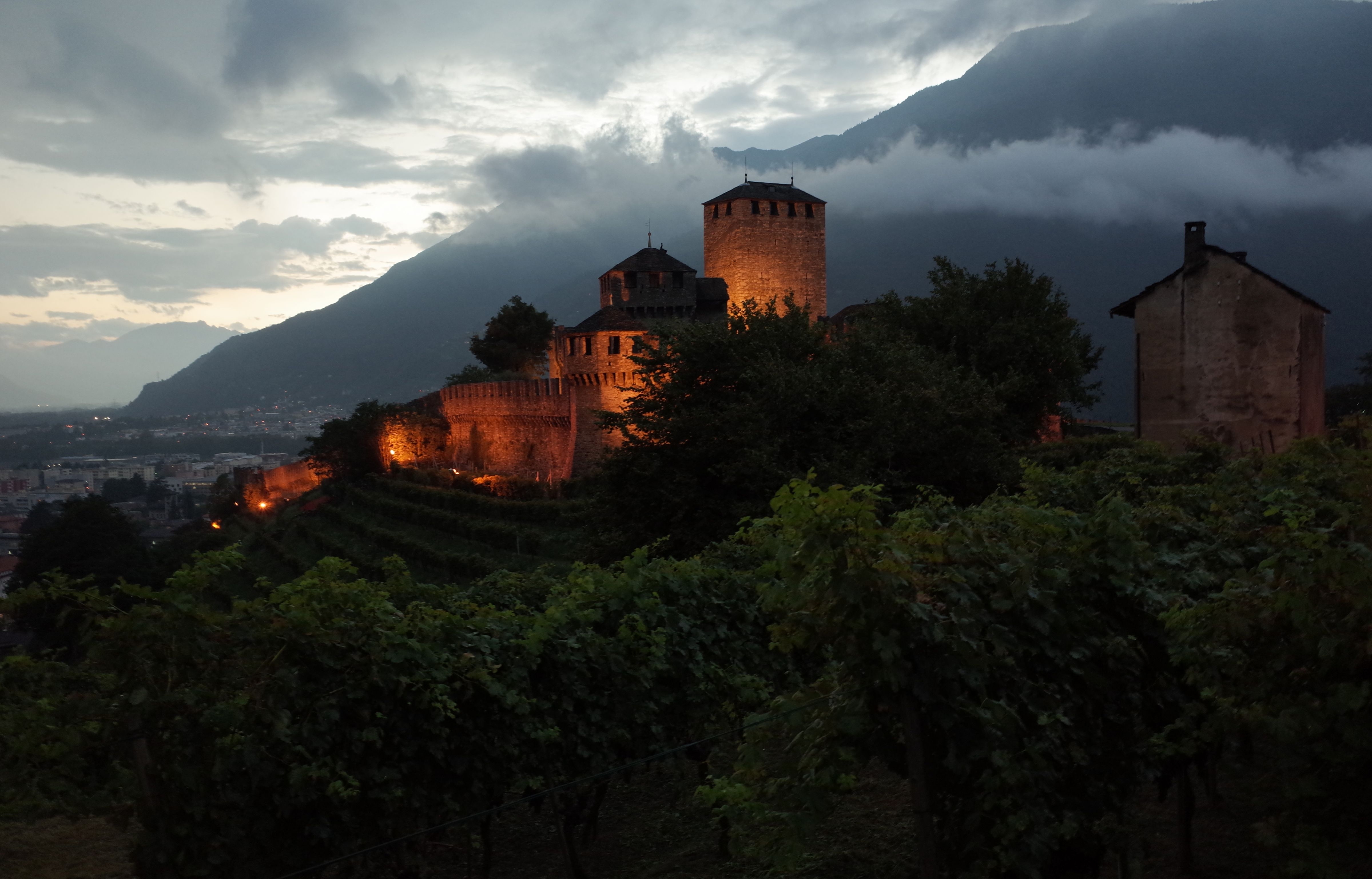 Castle on a hillside at dusk with clouds and vineyards in the foreground