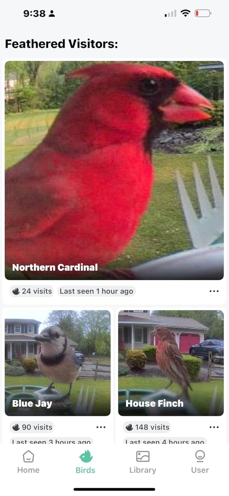 Mobile app showing 