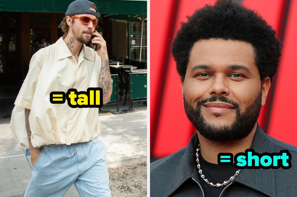 Choose Which Singers You’d Rather Listen To And I’ll Try To Guess If You’re Tall Or Short