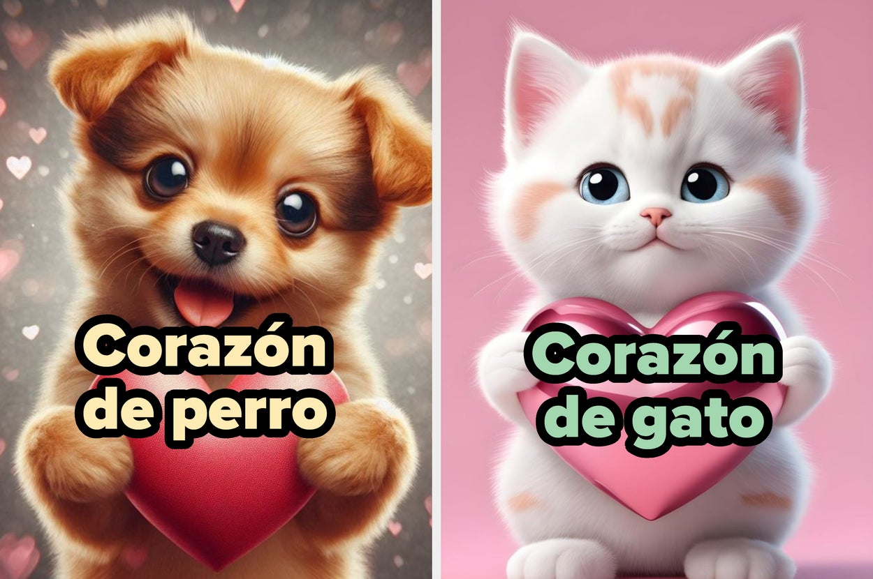 Perro y gato animados sostienen corazones. Texto: "Corazón de perro" y "Corazón de gato"
