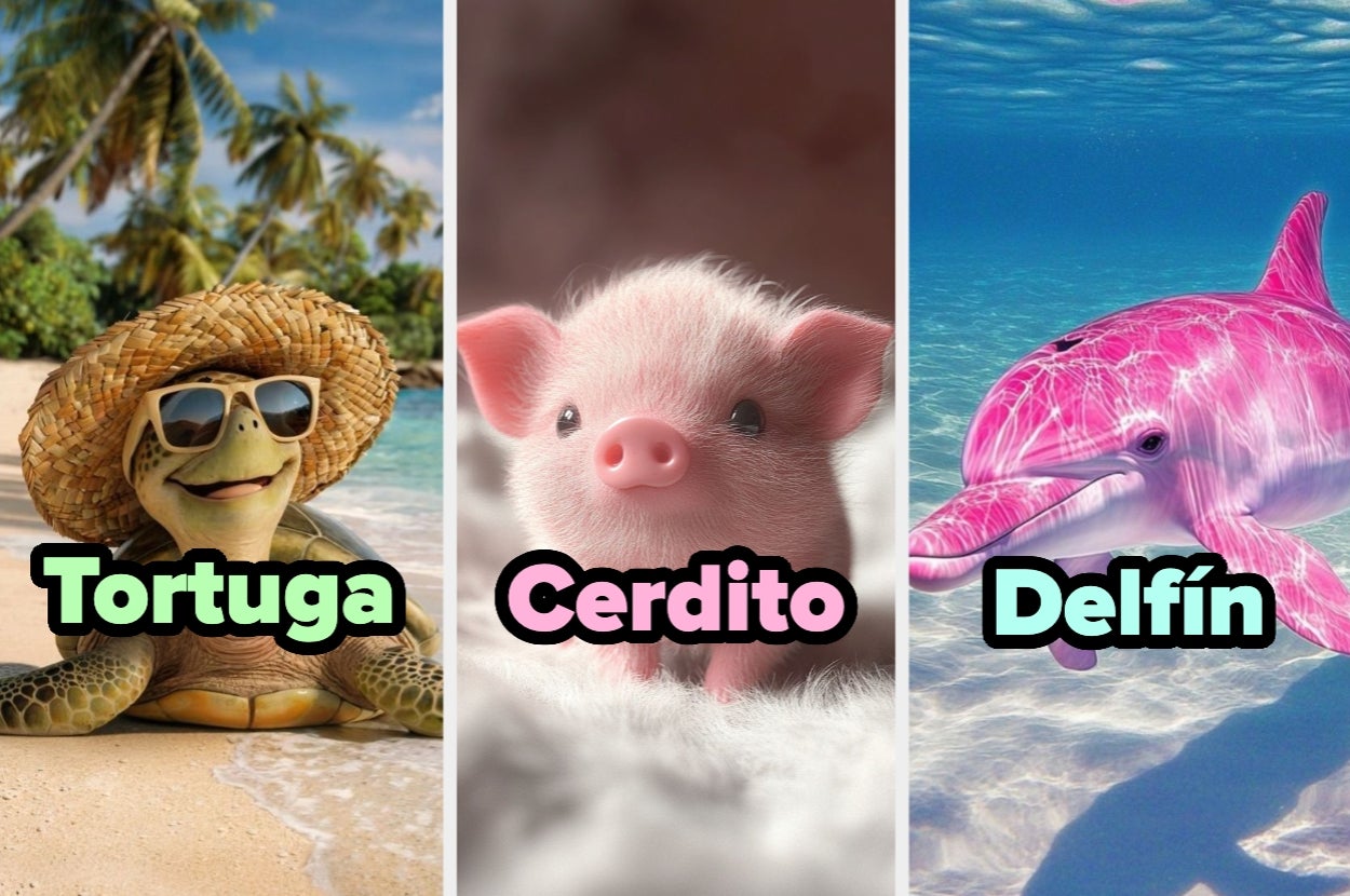 Tortuga con sombrero en la playa, cerdito rosado y delfín nadando en el océano