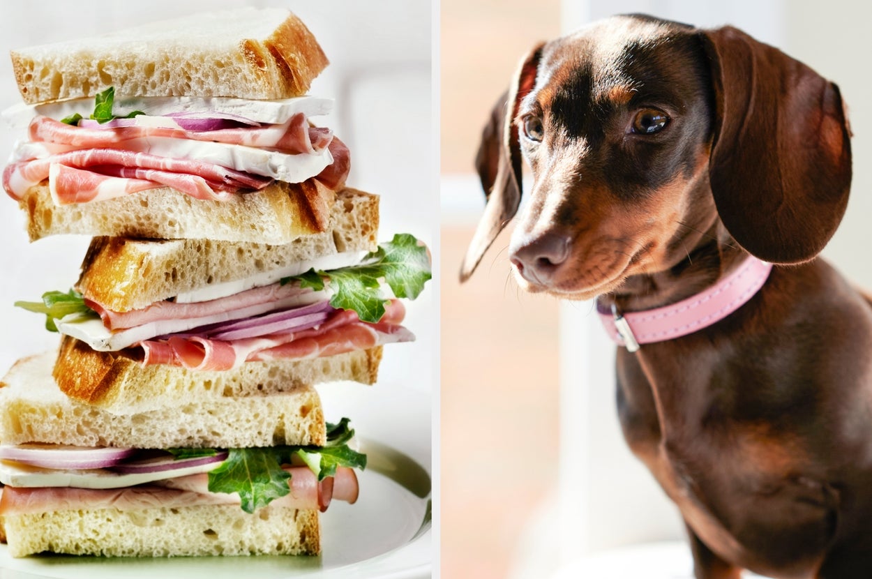 A stacked sandwich with ham and greens on the left, and a dachshund with a pink collar on the right