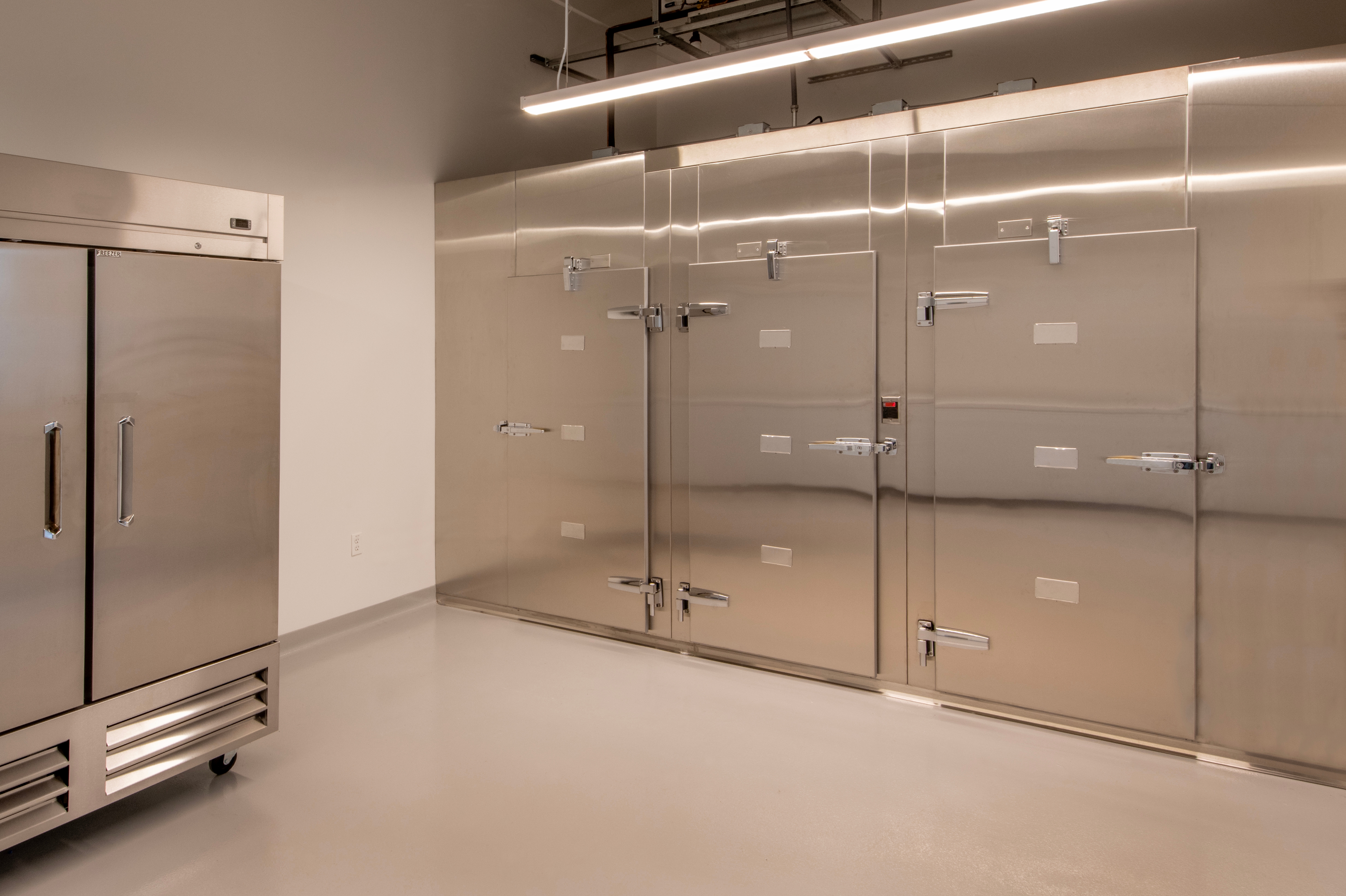 Industrielt kjøkken med store kjøleskap og frysere i rustfritt stål. Ren, minimal design