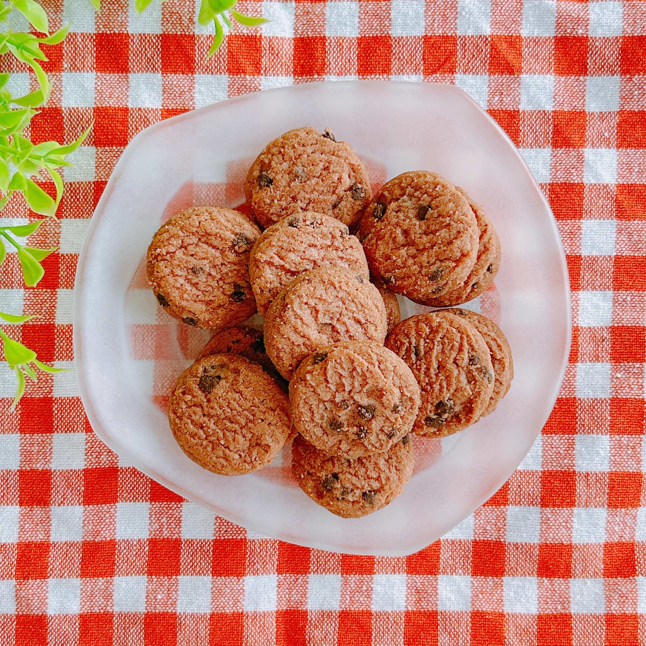 LAWSON(ローソン)の「サクサクすいかチョコチップクッキー」