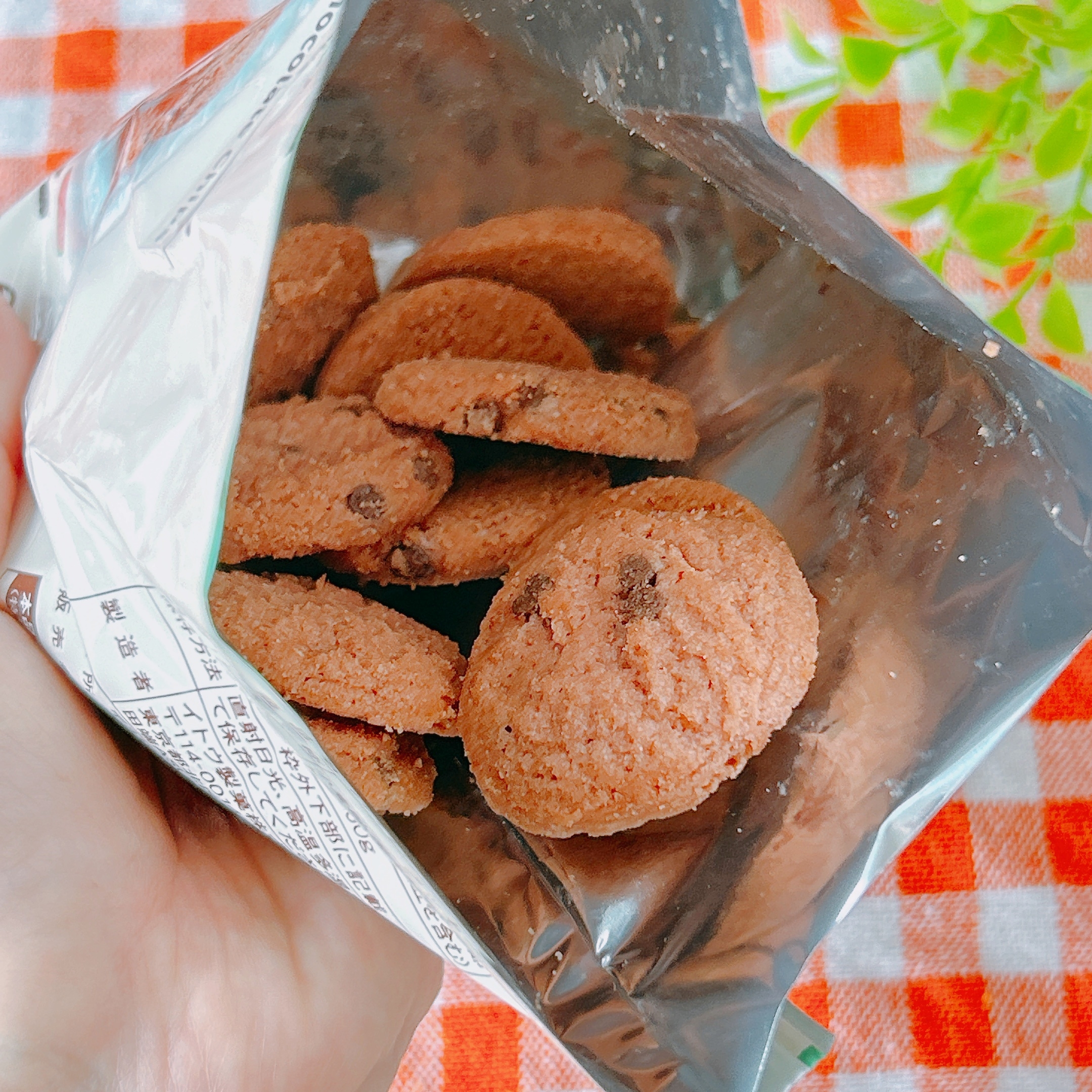 LAWSON(ローソン)の「サクサクすいかチョコチップクッキー」